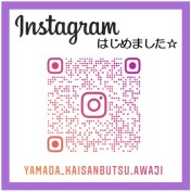 インスタグラム